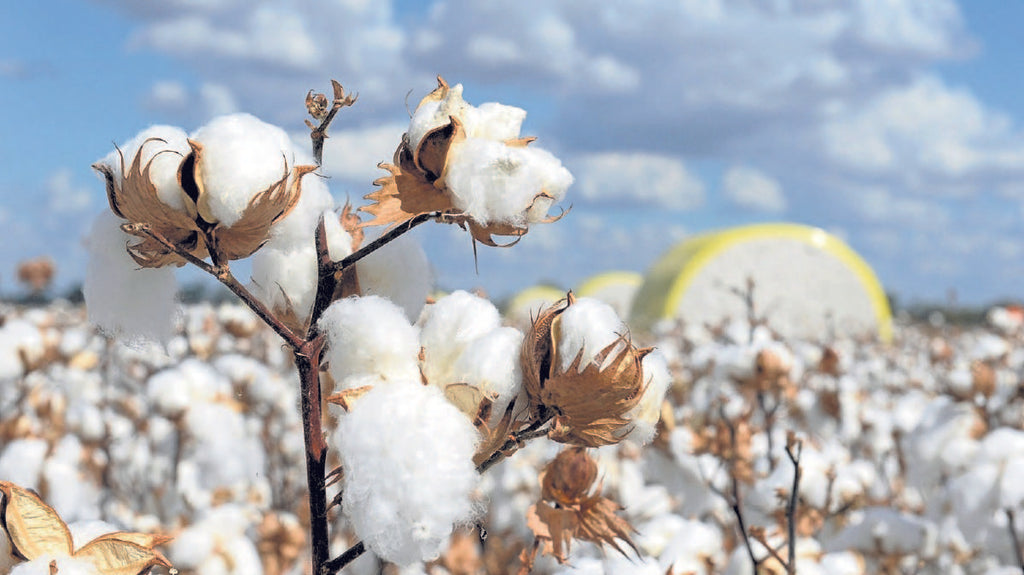 The Importance Of Organic Cotton On T-Shirts