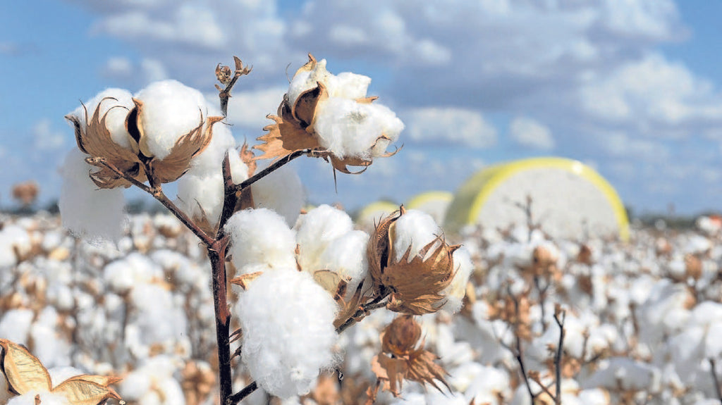 La importancia del algodón orgánico en las camisetas